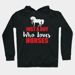 Just a Boy Who Loves Horses Novelty Equestrian Hoodie